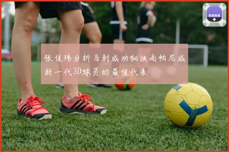 张佳玮分析马刺成功秘诀尚帕尼成新一代3D球员的最佳代表